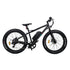 Burch Electric Mountain Bike Eagle